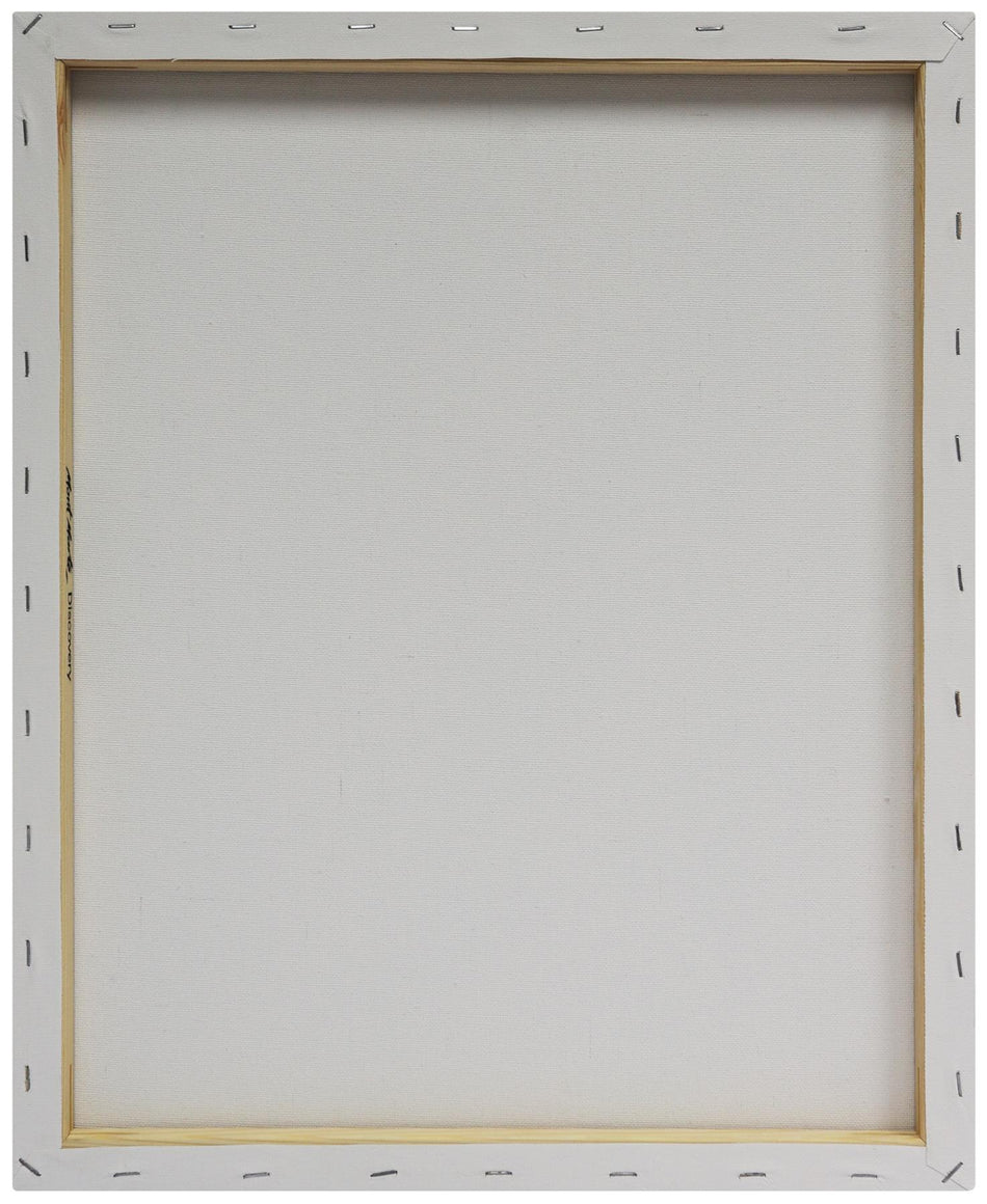 CDPS4050 Single Thick Discovery Canvas - 40x50Cm