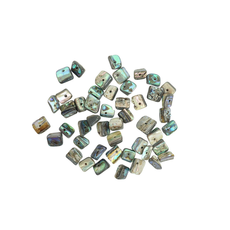 Paua Abalone Paua Chunk Shell Beads - Pack of 48