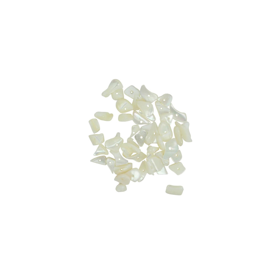 Trochus Trochus Chunk Shell Beads - Pack of 100
