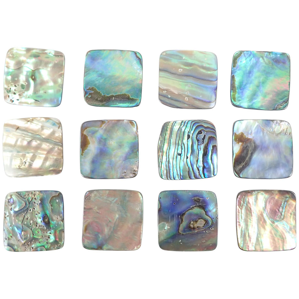 Paua Abalone Natural Curve Shell Blanks - 25x25mm, Pack of 12, Square