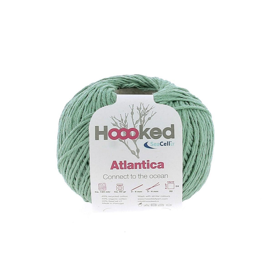 AT12 Atlantica Sage Green Seacell Cotton Yarn - 120M, 50g