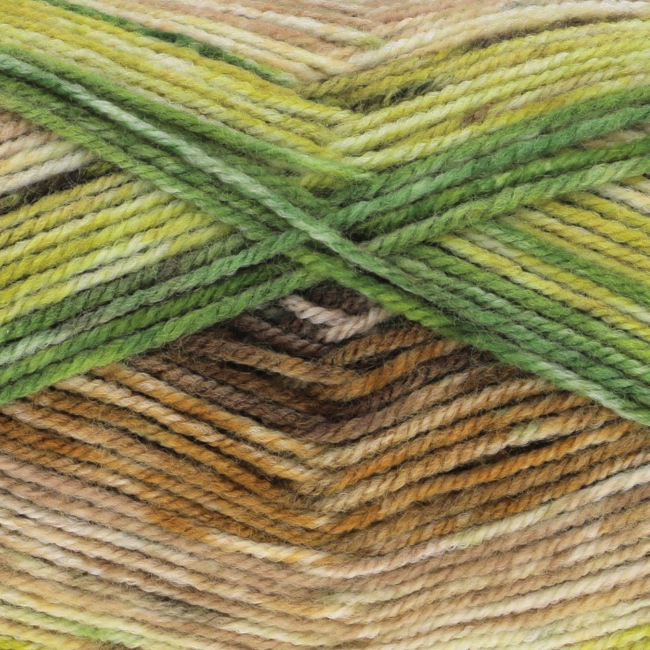 1934496 Bramble DK Greengage Yarn - 290M, 100g