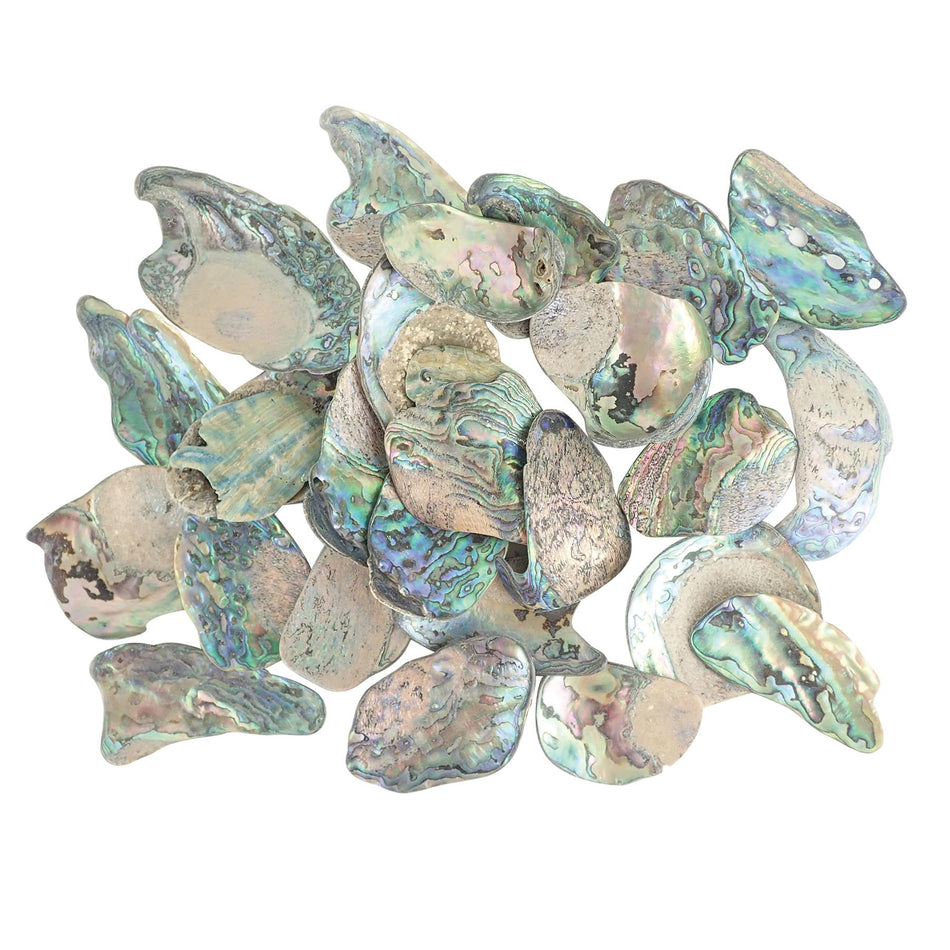 Paua Abalone Shell Pieces - Small, 200g