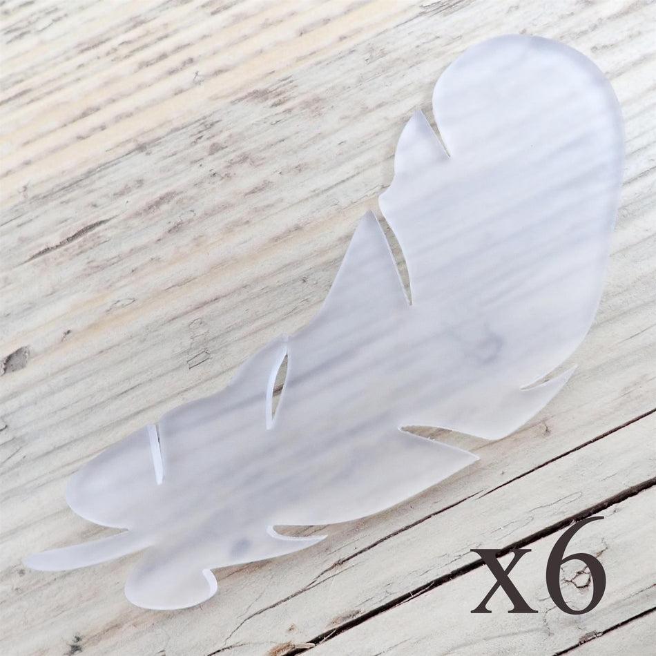 Frosted Cast Acrylic Feather Decorations, 100mm (Style 2) (Pack of 4)