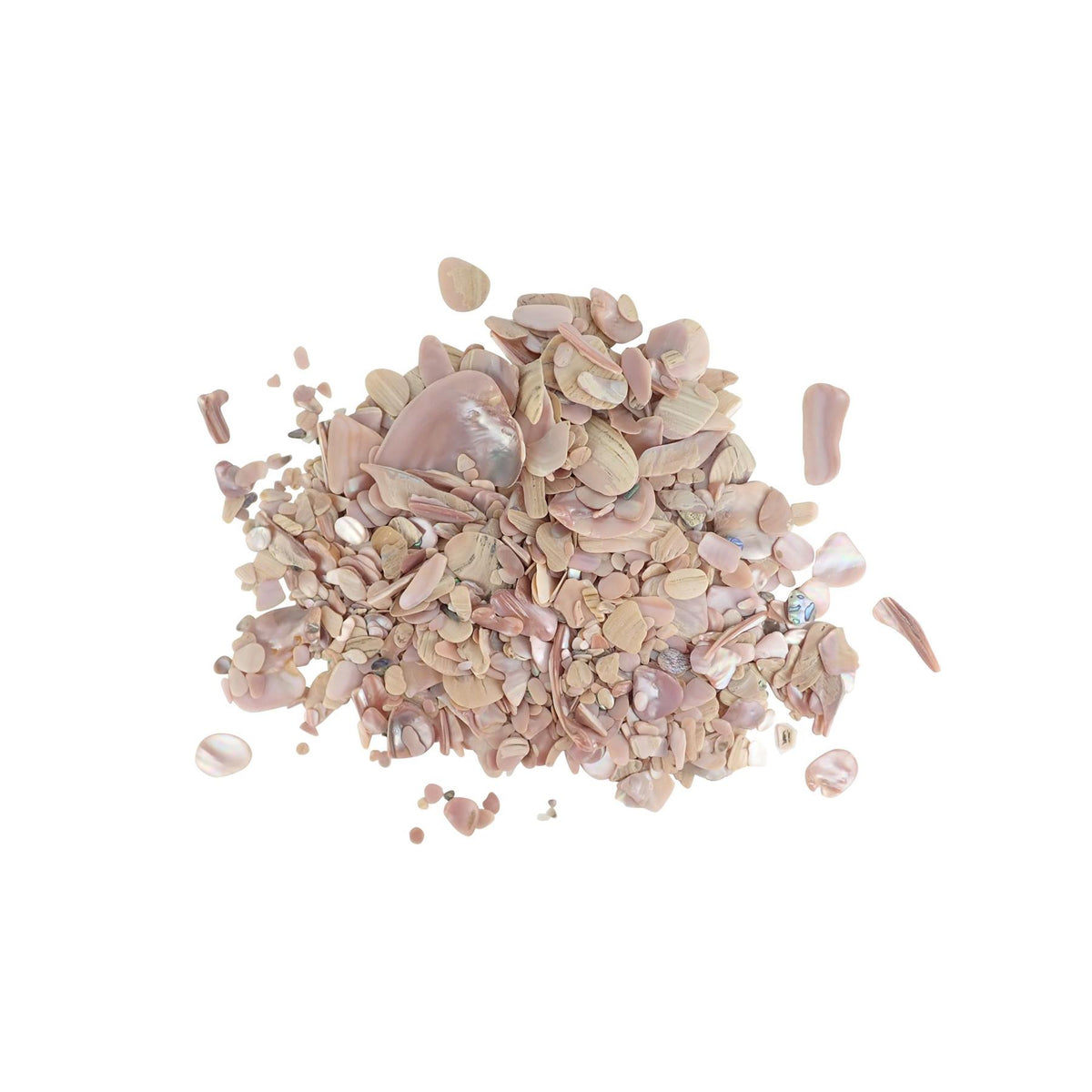 Pink Mussel Shells Pink Mussel Shell Pieces - Mixed, 1Kg – Rothko and Frost