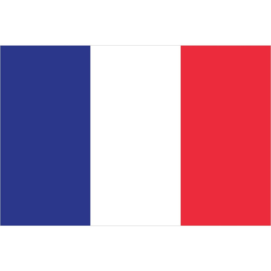 France Flag Waterslide Decal