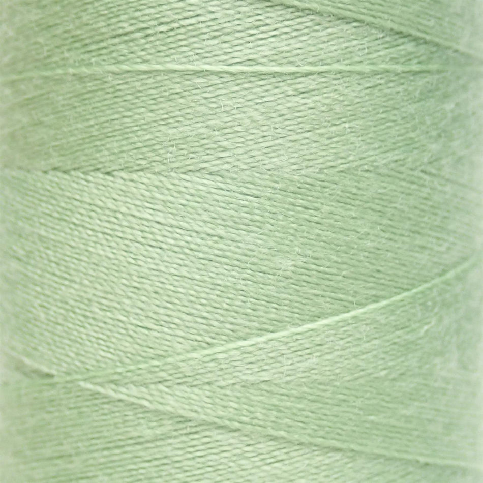 M0034 Pale Green Spun Polyester Sewing Thread - 1000M