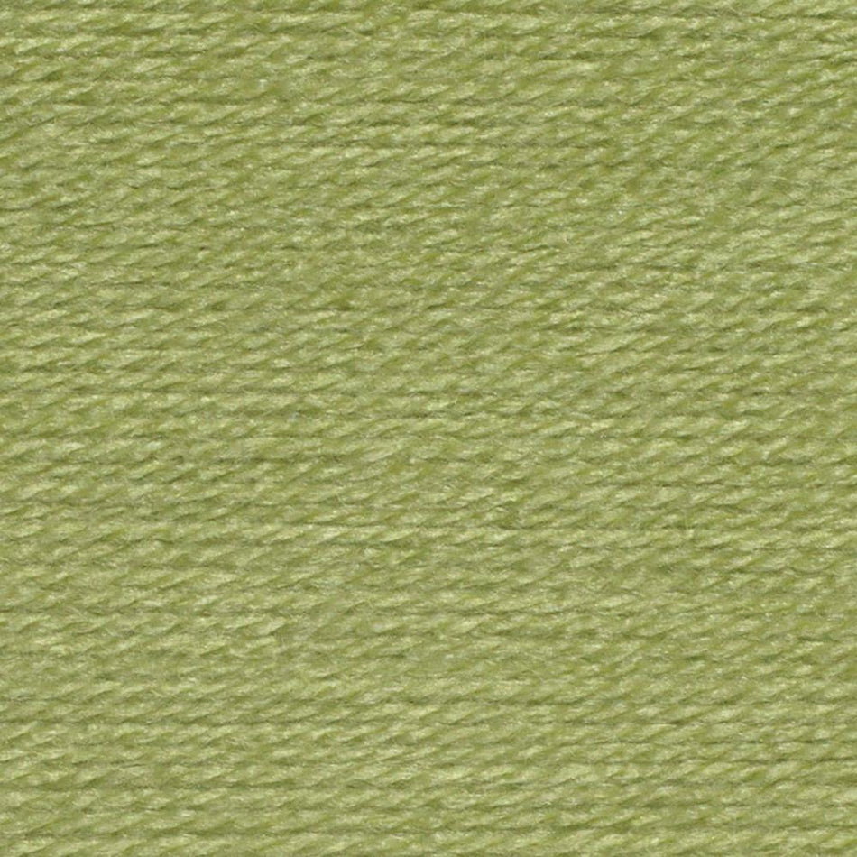 WD26 Supreme DK Pistachio Yarn - 100g