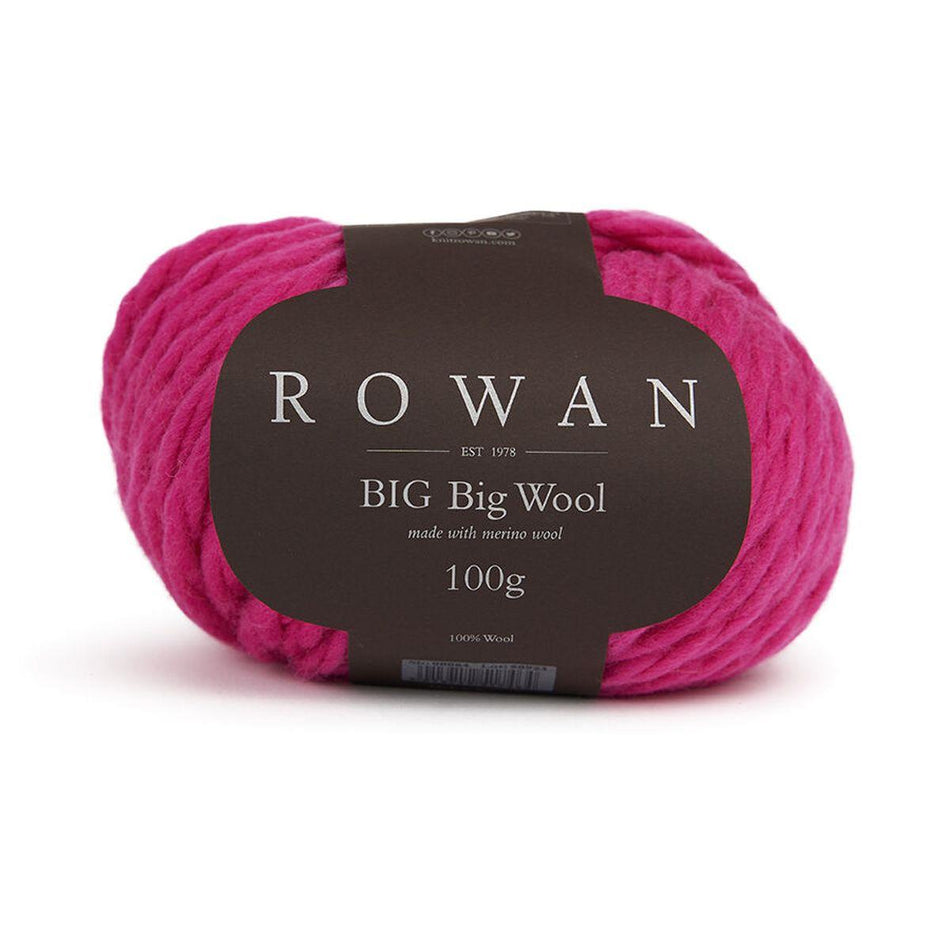 Big Big Wool Fiesta 216 100% Wool Yarn - 100g