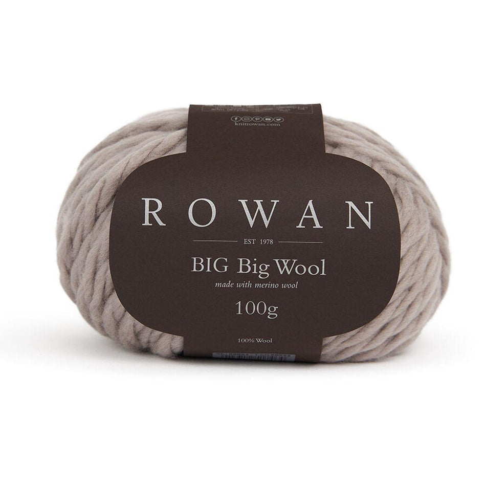 Big Big Wool Fossil 212 100% Wool Yarn - 100g