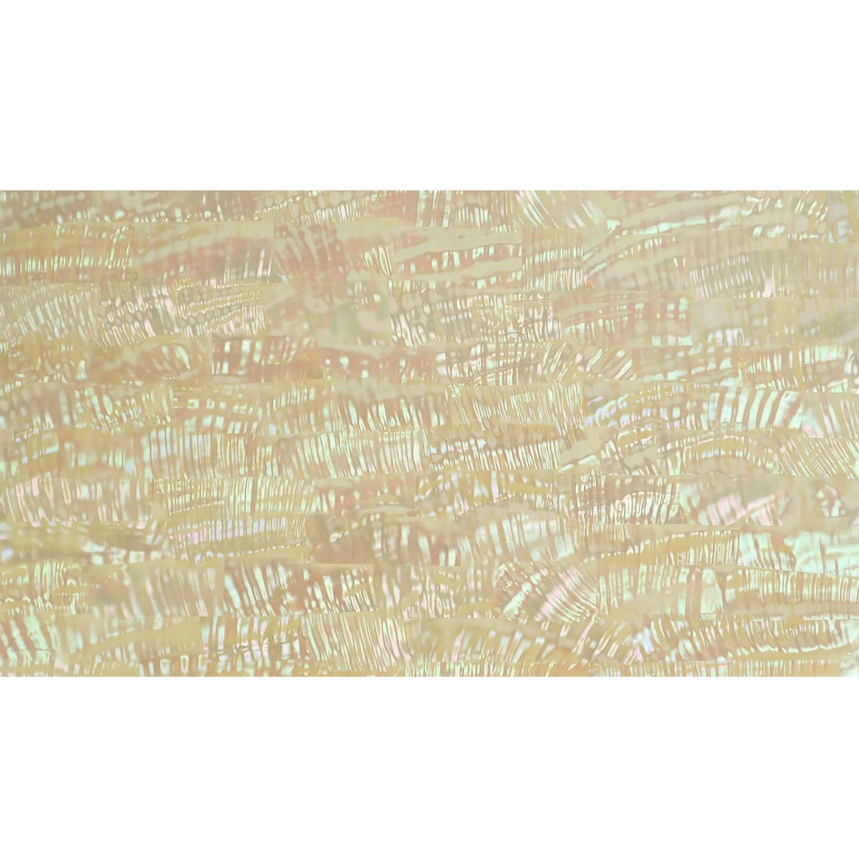 Natural Mexican Ripple Abalone Varnished Laminate Shell Veneer - 230x130x0.3mm, Painted Backing