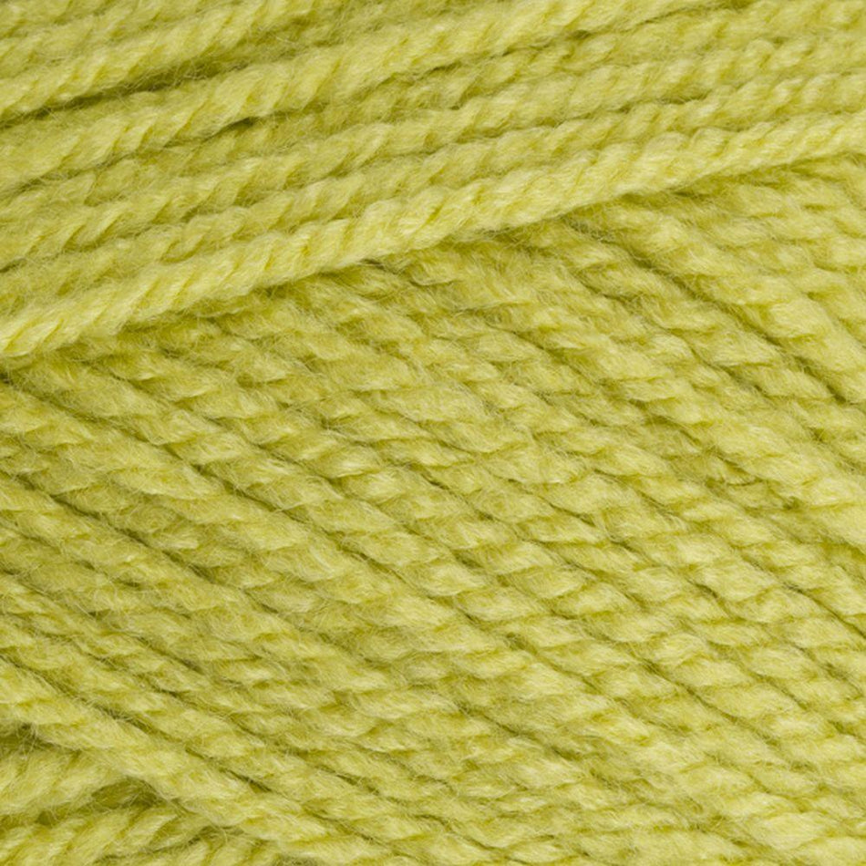 9051822 Special Aran Pistachio (1822) Yarn - 100g