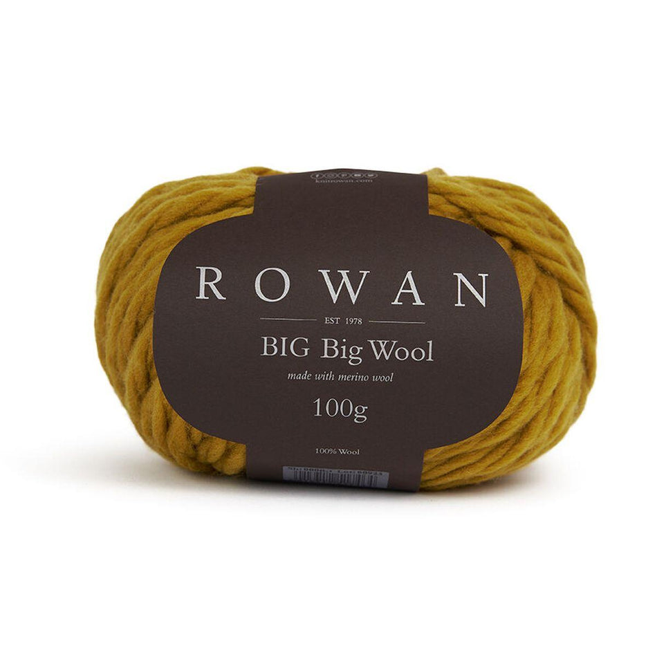 Big Big Wool Pear 218 100% Wool Yarn - 100g