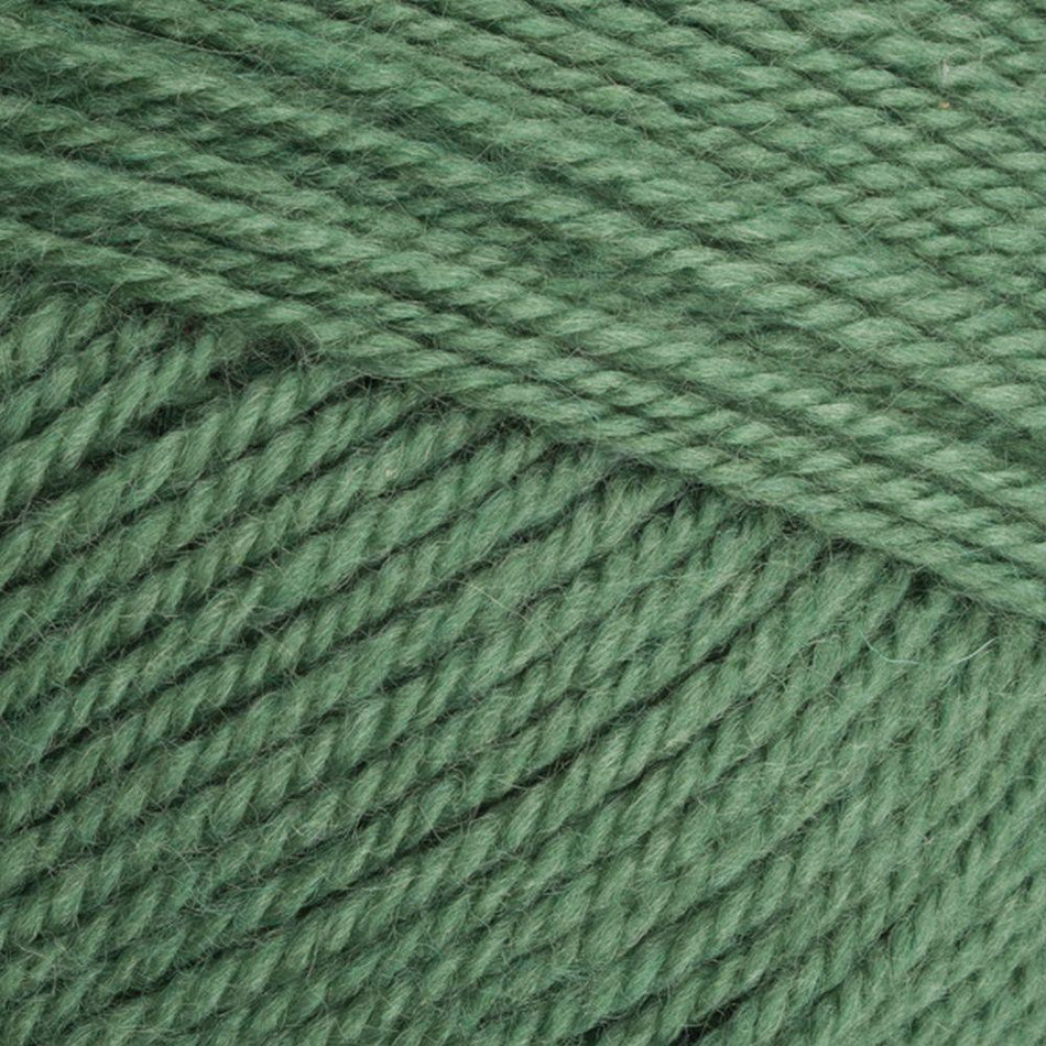 9033980 Special Aran with Wool Succulent (3980) Yarn - 400g