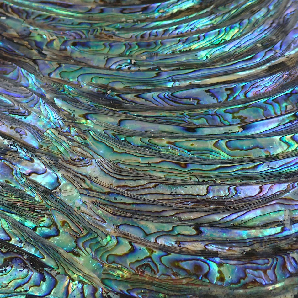 Black Backed Alternating Full Shell Green Abalone Laminate Shell Veneer - 240x140x0.15mm, Black Backing