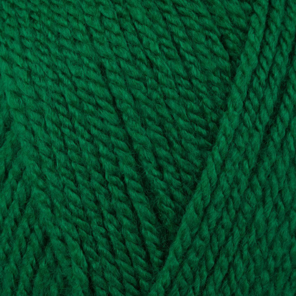 9051116 Special Aran Green (1116) Yarn - 100g