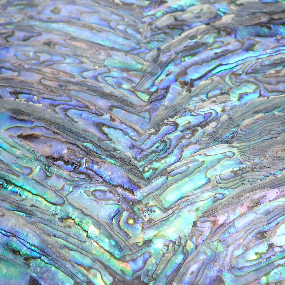 Black Backed Full Shell Green Abalone Laminate Shell Veneer - 240x140x0.15mm, Black Backing