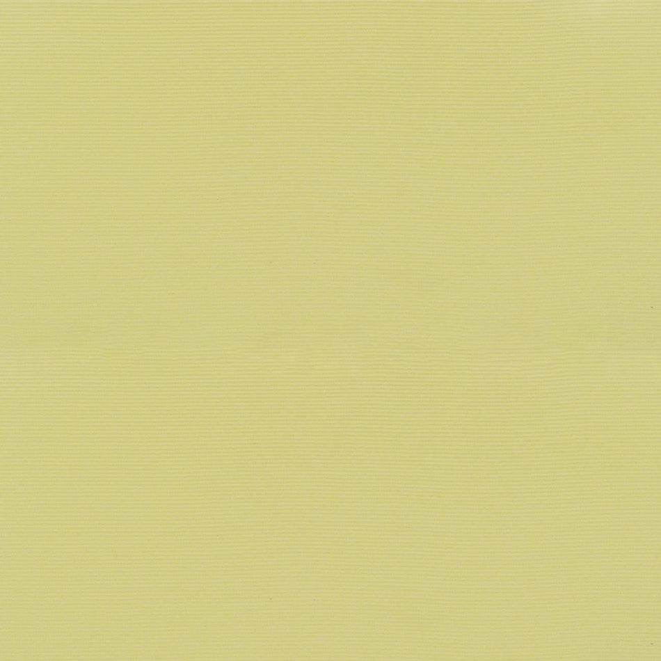 Straight Grain Ivory Celluloid Sheet - 195x95x1.5mm