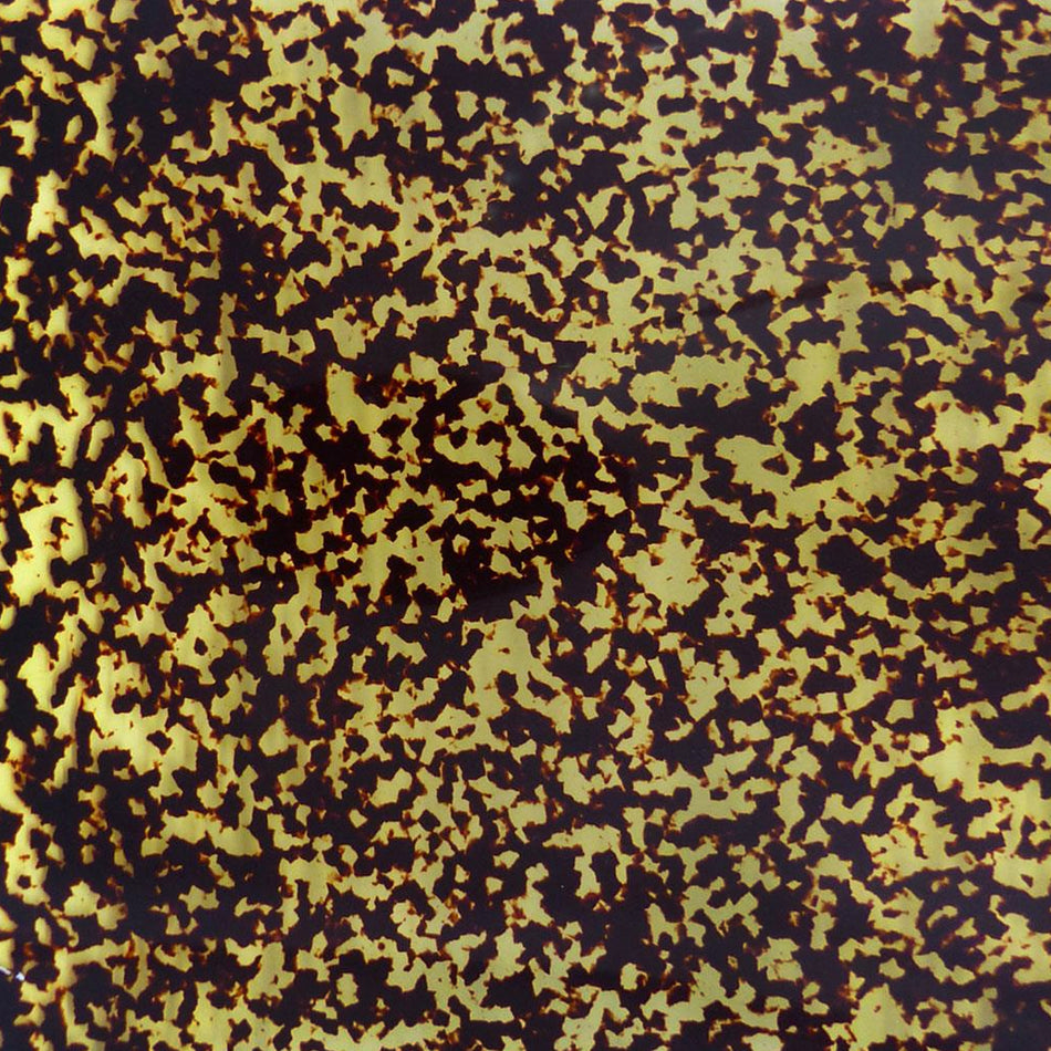 Vintage Spotted Tortoiseshell Celluloid Sheet