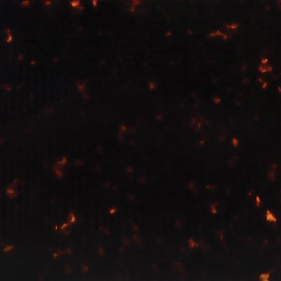 N13 Tortoiseshell Cellulose Acetate Block - 165x100x20mm