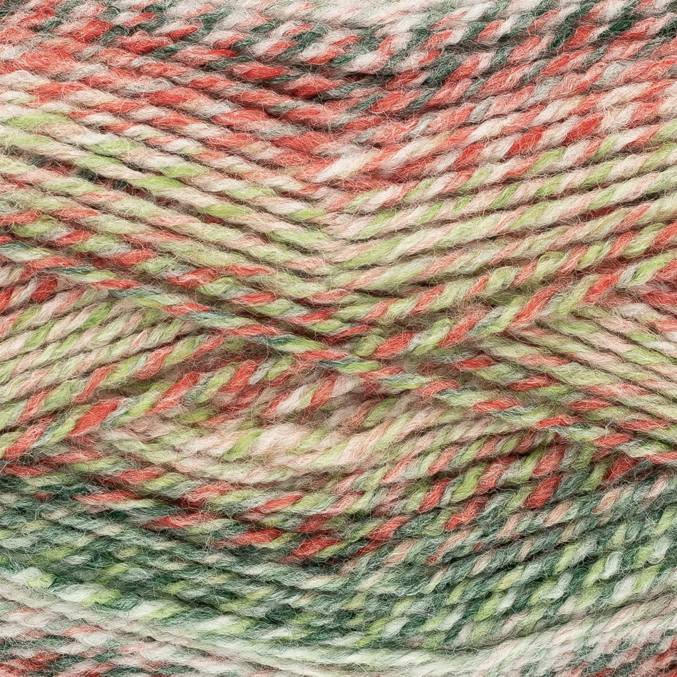 2114955 Acorn Aran Holly Berries Yarn - 200M, 100g