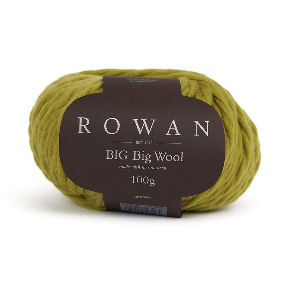 Big Big Wool Carnival 215 100% Wool Yarn - 100g