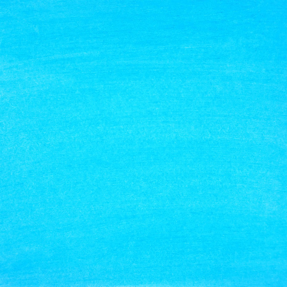 Blue Fluorescent Pigment - 100g 3-5um
