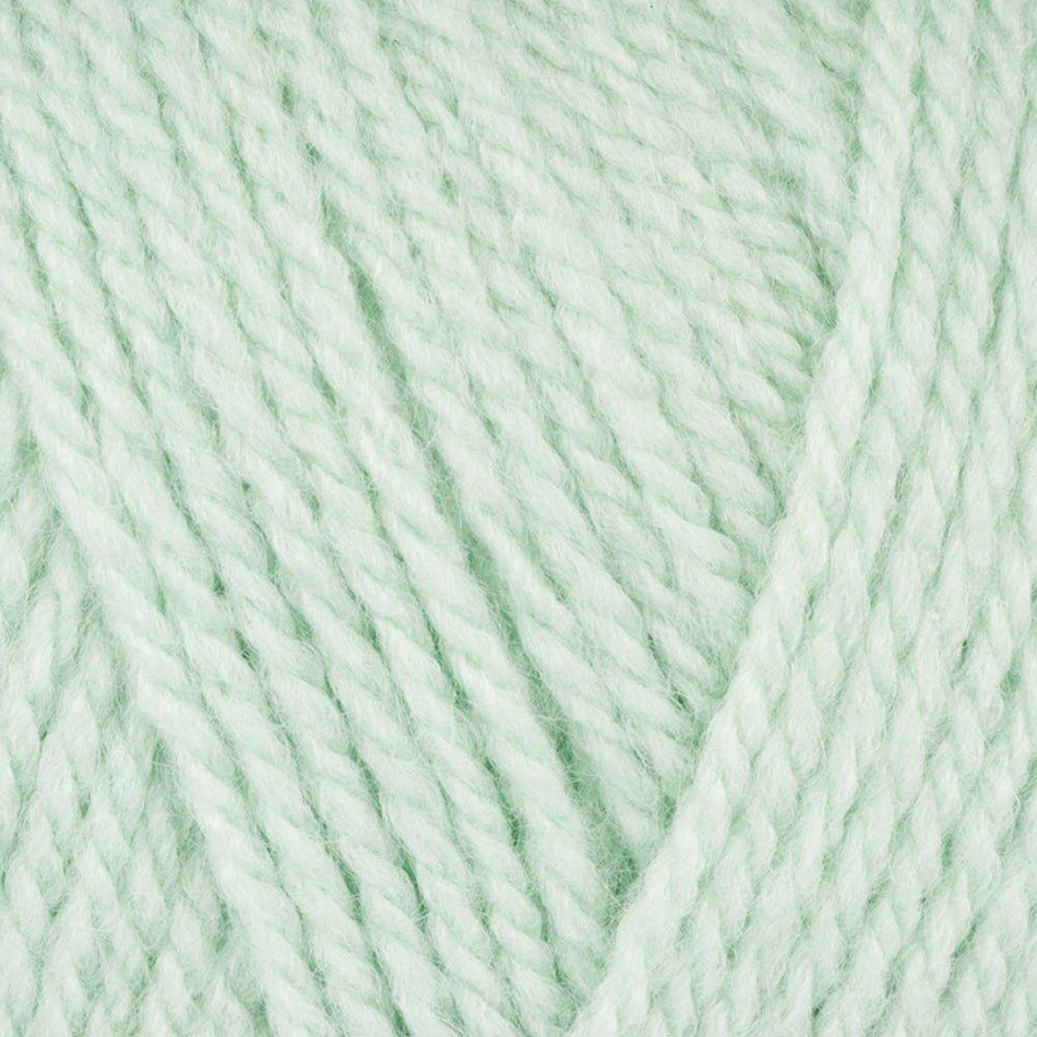 9035509 Special Aran with Wool Spearmint (5509) Yarn - 400g