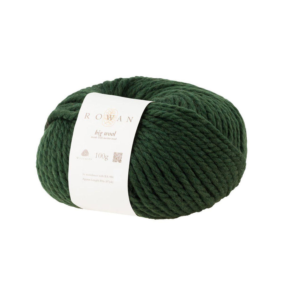 Big Wool Forest 043 100% Wool Yarn - 100g