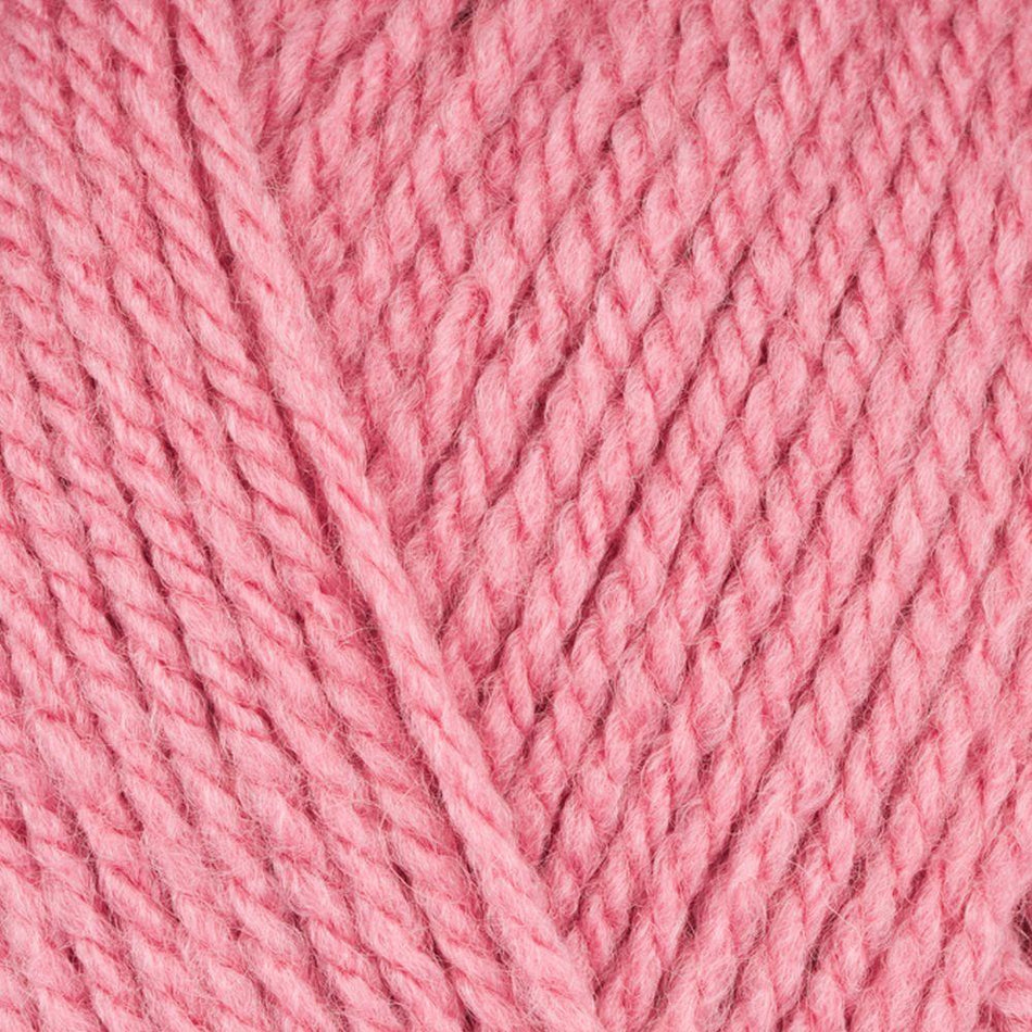 9035511 Special Aran with Wool Wild Rose (5511) Yarn - 400g