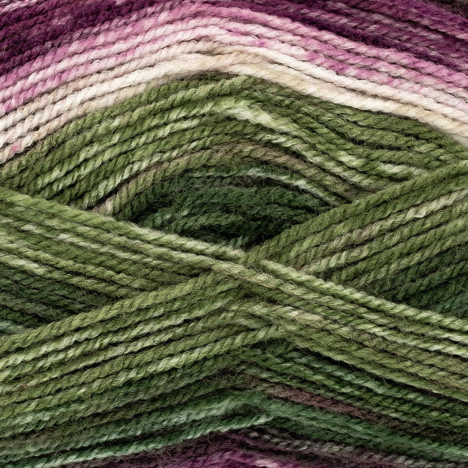 1934494 Bramble DK Heather Yarn - 290M, 100g