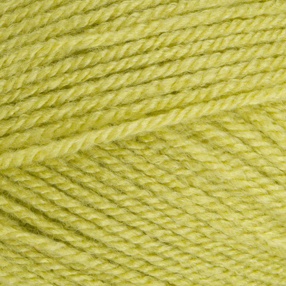 9041822 Special DK Pistachio (1822) Yarn - 100g