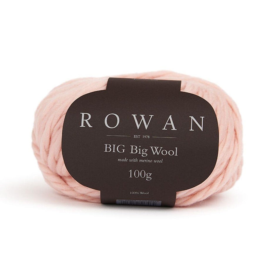 Big Big Wool Ballet 214 100% Wool Yarn - 100g