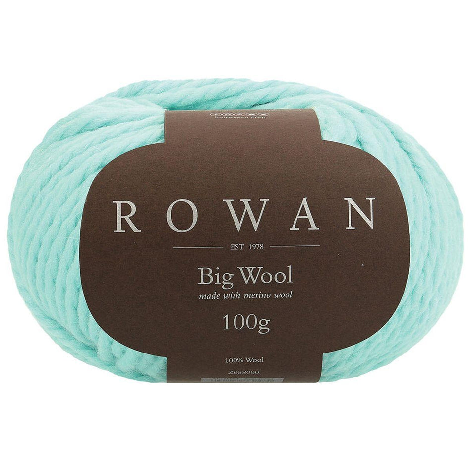 Big Wool Oasis 092 100% Wool Yarn - 100g