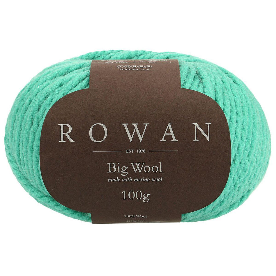 Big Wool Midori 093 100% Wool Yarn - 100g