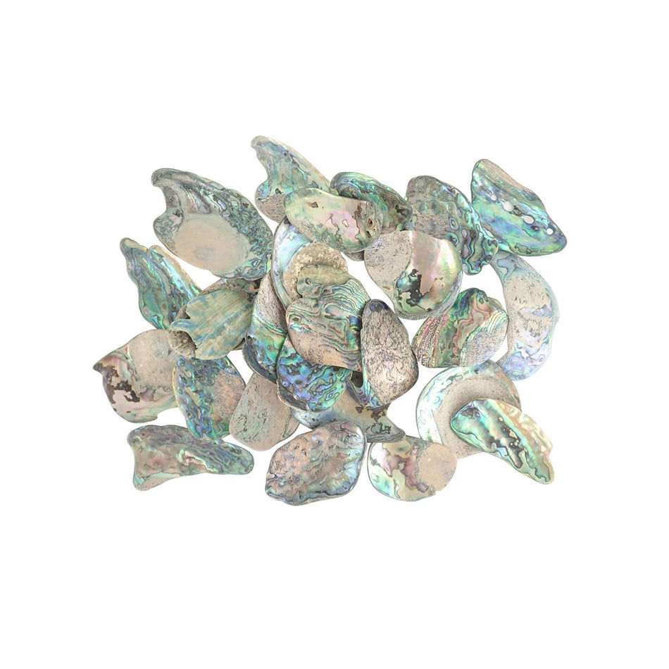 Paua Abalone Shell Pieces - Extra Large, 500g