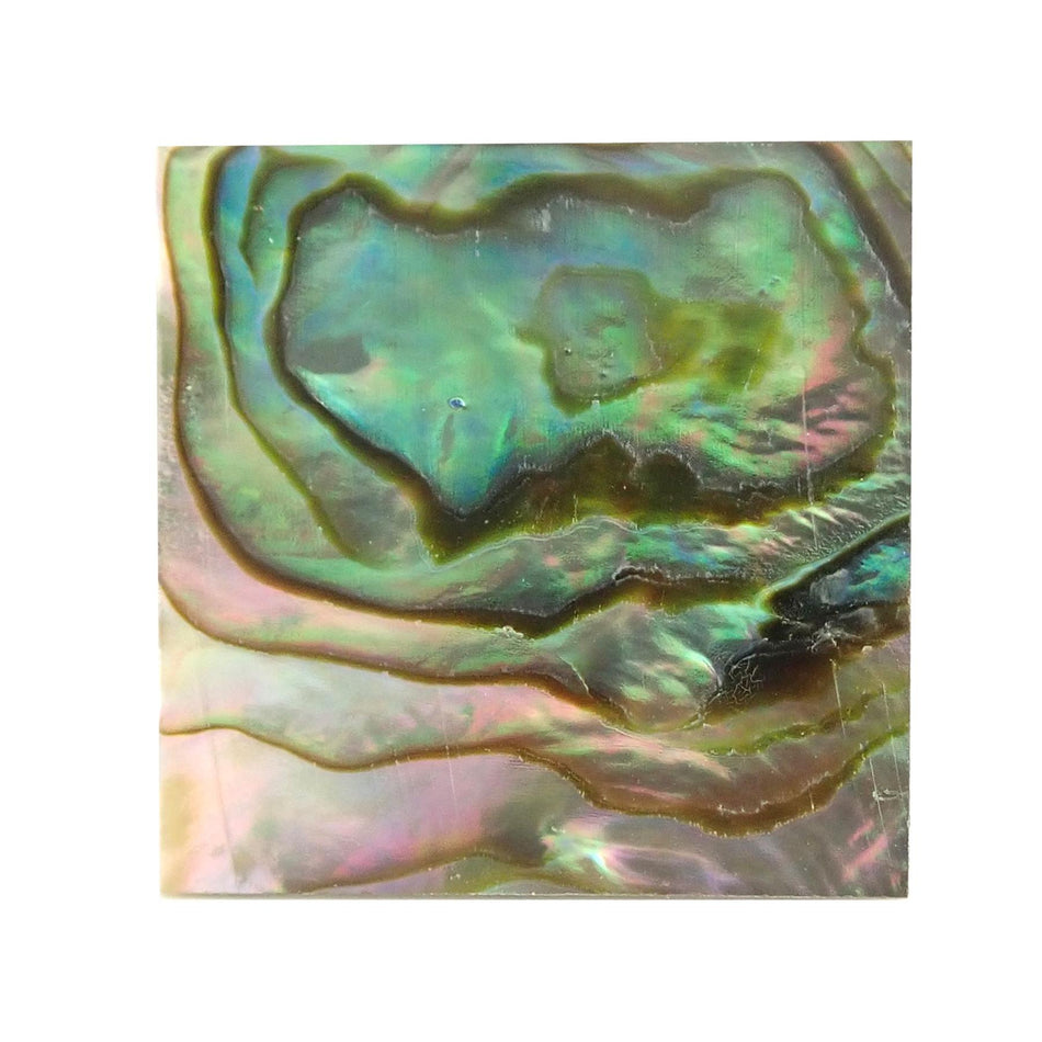 Green Abalone Inlay Blank - 25x25x0.5mm, Square