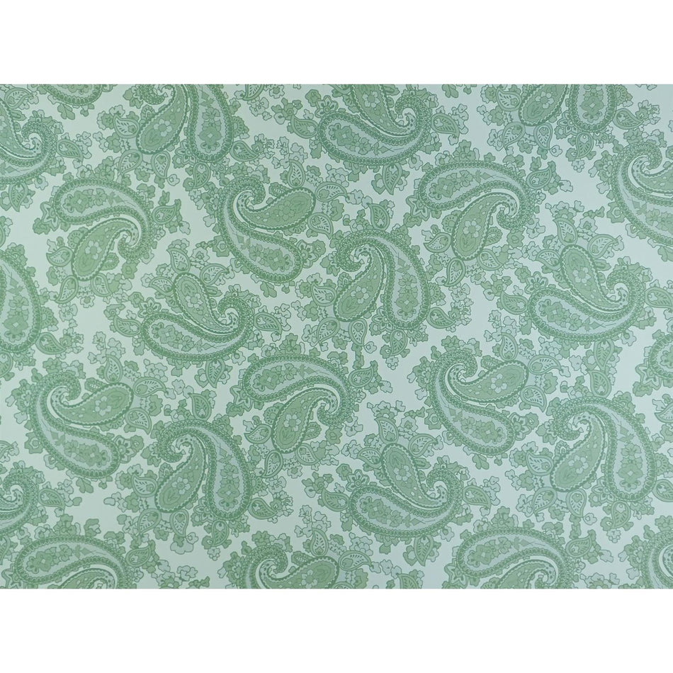 Clear Backed Surf Green Paisley Guitar Body Waterslide Decal - 420x295mm
