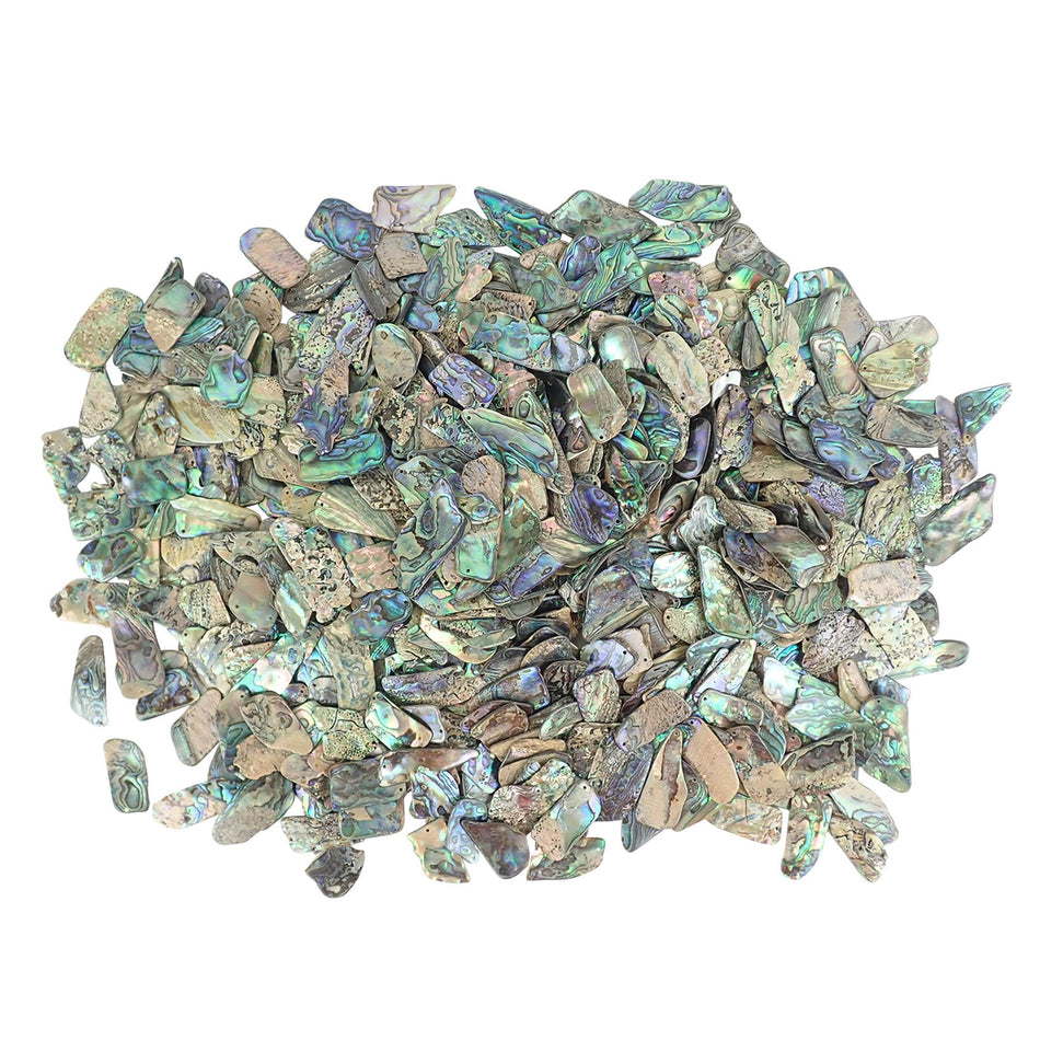 Paua Abalone Small Gloss Drilled Shell Pieces - Small, 15-25mm, 1Kg