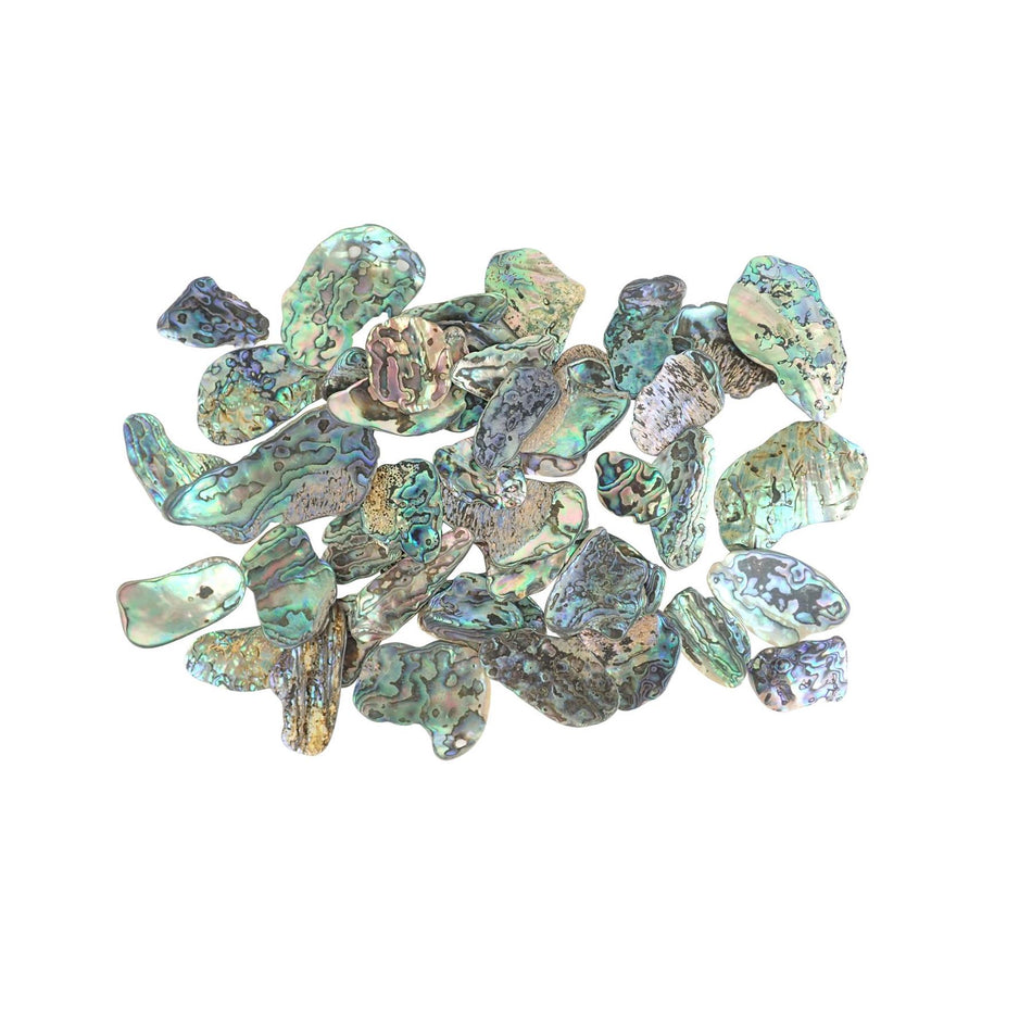 Paua Abalone Shell Pieces - Medium, 200g